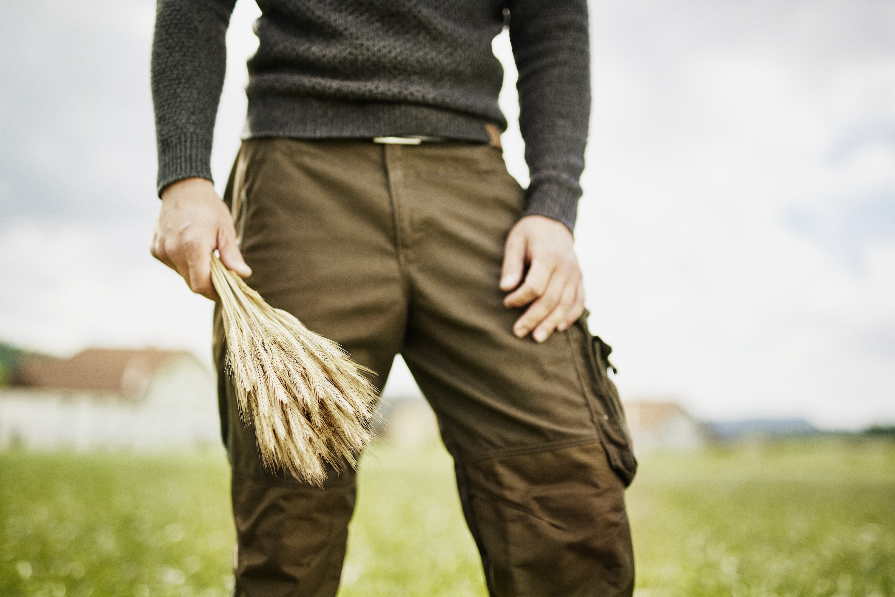 Image Feld_Waldviertel Tourismus_Fotograf Wasserbauer