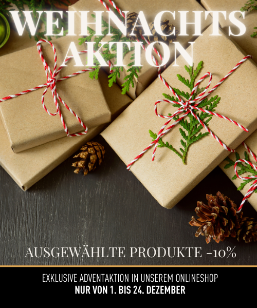 Banner BF Google (500 x 600 px) (1)